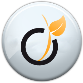 Profil Viadeo
